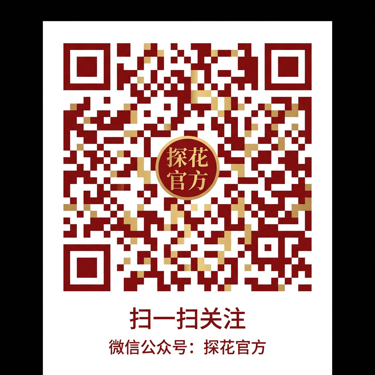 海角网公众号二维码